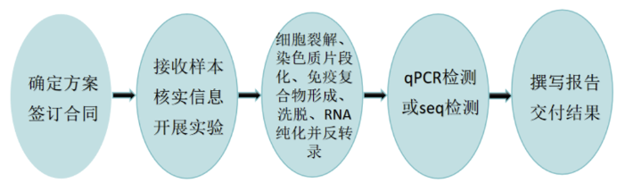 IMG_202504275830_701x214.png