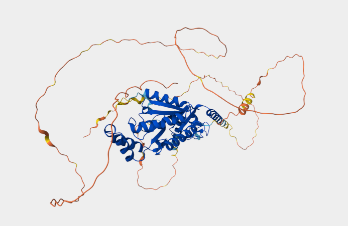 Anti-Cavbeta1 Ca2+ channel  mA