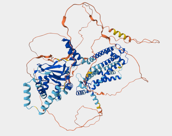 Anti-HCN1 mAbs