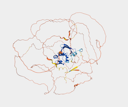 Anti-Ataxin-1, 11NQ mAbs