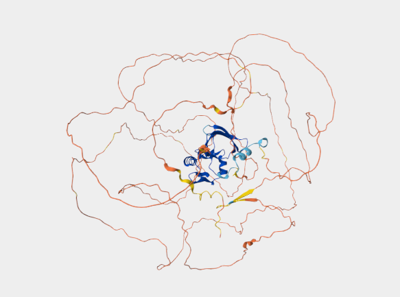 Anti-Ataxin-1, 11NQ  mAbs