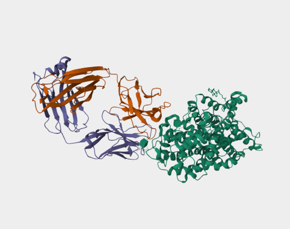 Anti-Sodium-dependent serotoni