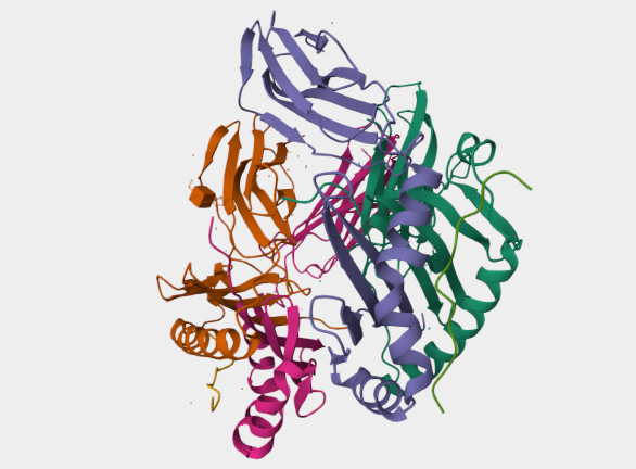 Anti-Myelin basic protein mAbs