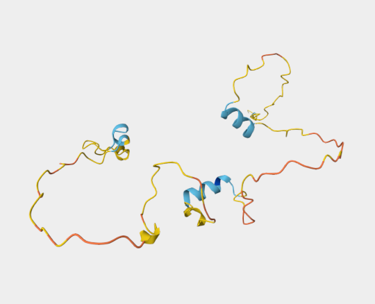 Anti-Myelin basic protein mAbs