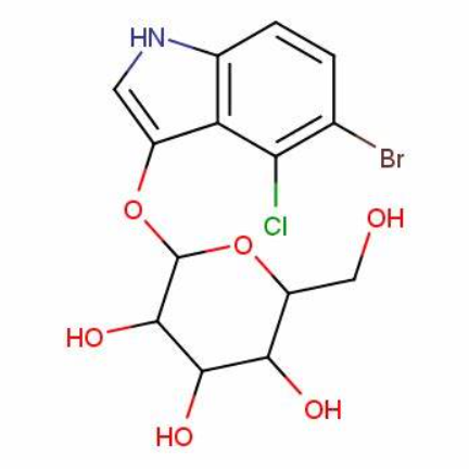 Anti- α-gal mAbs