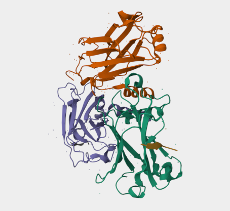 Anti-4-1BB mAbs