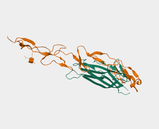 Anti-4-1BB mAbs