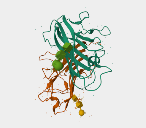 Anti-4-1BBL mAbs