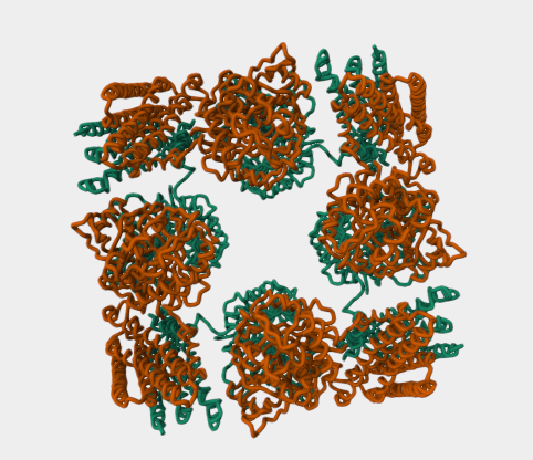 Anti-58K golgi mAbs