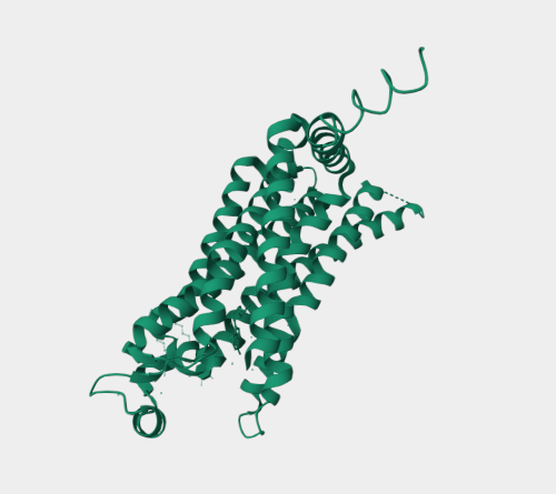 Anti-A2A-Adenosine Receptor mA