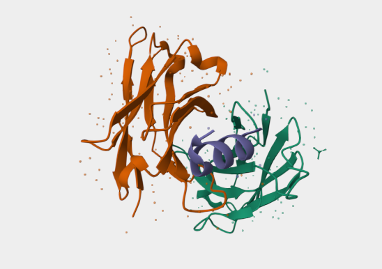 Anti-ABCB1 mAbs