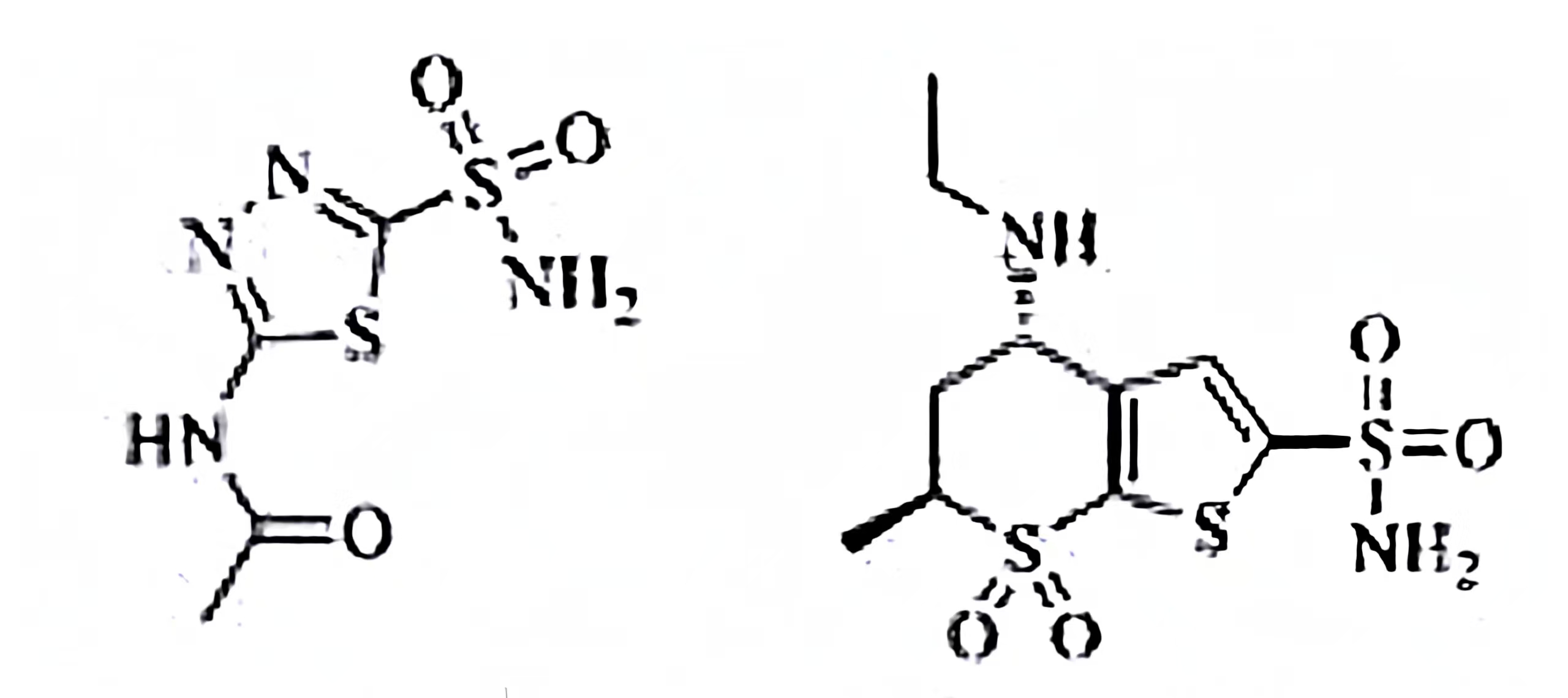Anti-Acanthamoeba castellini mAbs