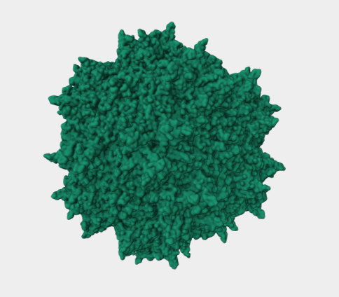 Anti-Adeno associated virus mAbs