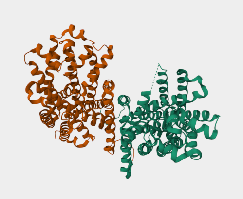Anti-AdiC mAbs