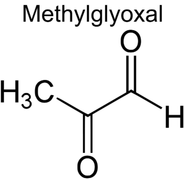 Anti-Advanced Glycation End Products (AGE), Methylgloxal (MG) mAbs