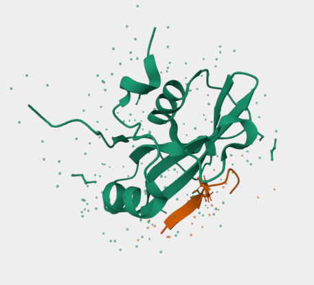 Anti-Alpha actin 1 mAbs