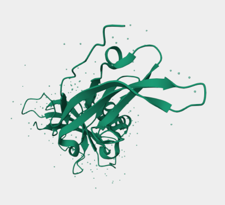 Anti-Alpha Dystroglycan mAbs
