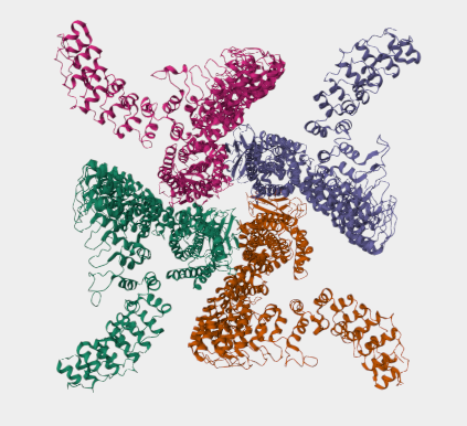 Anti-alpha-Latrotoxin mAbs