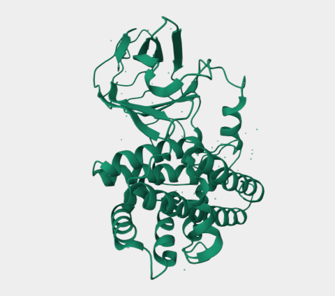 Anti-alpha-Toxin mAbs