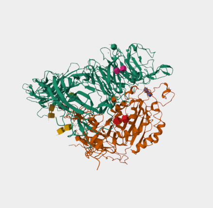 Anti-alpha-V integrin mAbs