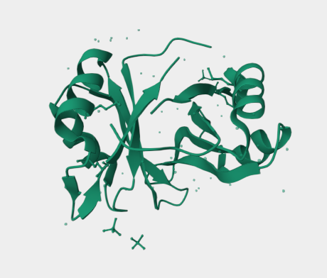 Anti-ALY/REF export factor mAbs
