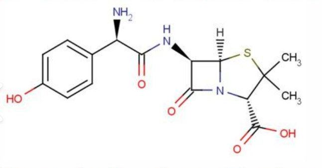 Anti-Amoxicillin mAbs