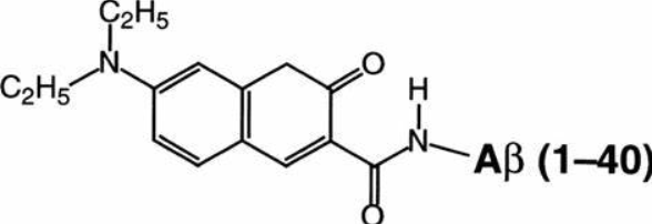 Anti-amyloid beta protein-bound GM1 mAbs
