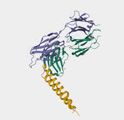 Anti-Anti-platelet aggregation protein mAbs