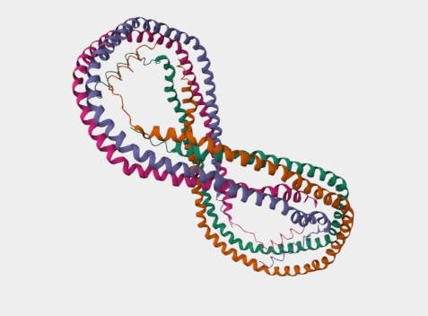 Anti-Apolipoprotein A-1 mAbs