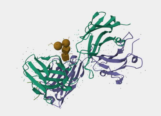 Anti-Ara h 2 mAbs