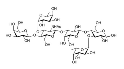 Anti-asialo GM1 mAbs