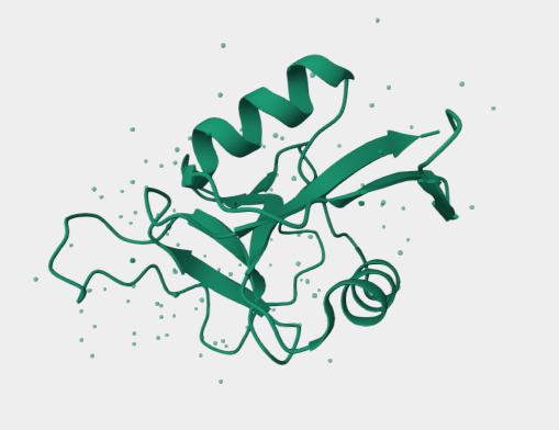 Anti-Asialoglycoprotein receptor mAbs