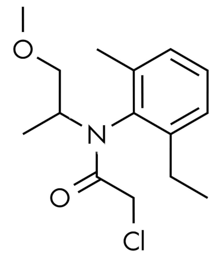 Anti-aSS-metolachlor mAbs