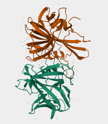 Anti-Astrovirus 2 mAbs