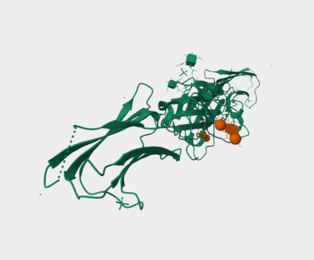 Anti-B7-H3 mAbs