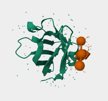 Anti-B7-H4 mAbs
