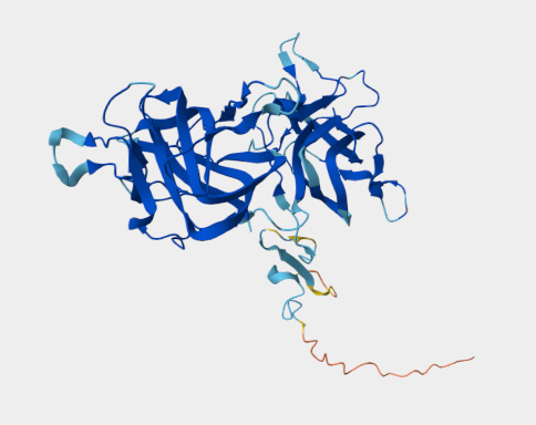 Anti-BA46 mAbs