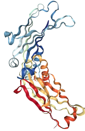 Anti-Baboon IgG3 mAbs