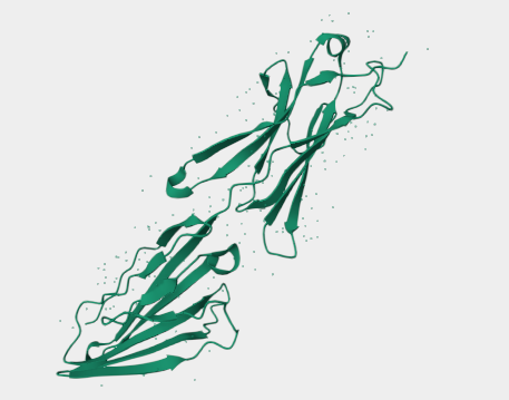Anti-BCAM mAbs