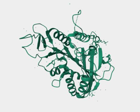 Anti-BCMA mAbs