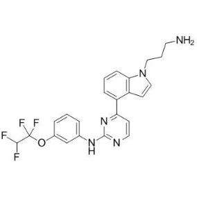 Anti-BCR-ABL mAbs