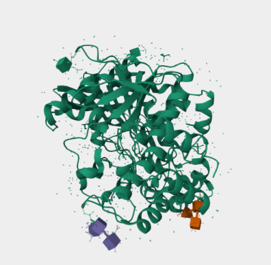 Anti-Butyrylcholinesterase  mA