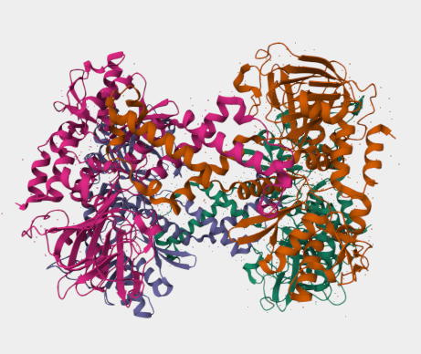 Anti-C14orf169 mAbs