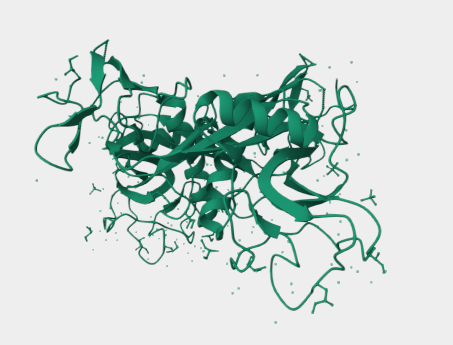 Anti-C1qR mAbs