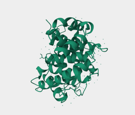 Anti-C3 mAbs