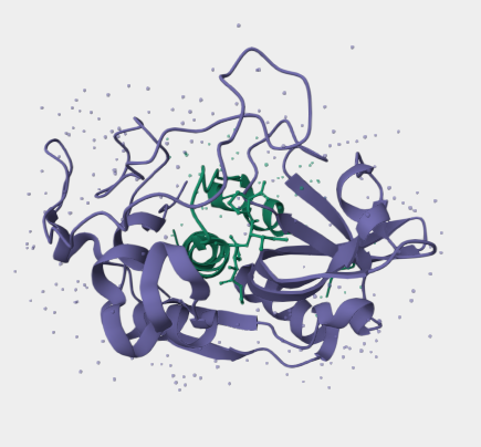 Anti-Cathepsin B mAbs
