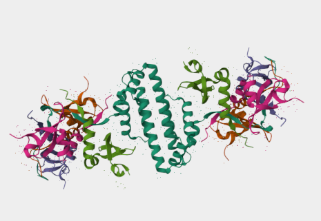 Anti-CBX1 mAbs