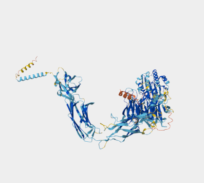 Anti-CD103 mAbs