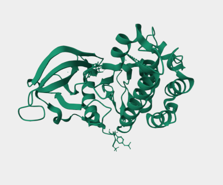 Anti-CD117 mAbs