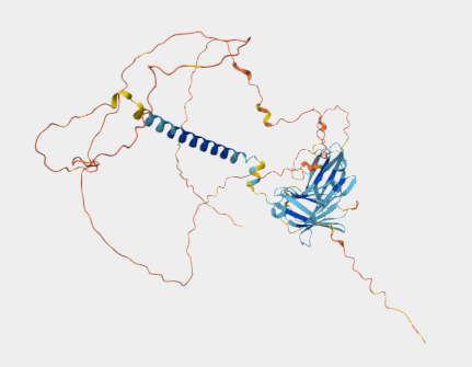Anti-CD19 mAbs